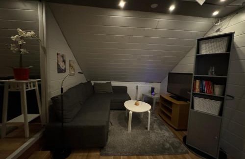 Vestmannaeyjar Apartment | Bjarmaland