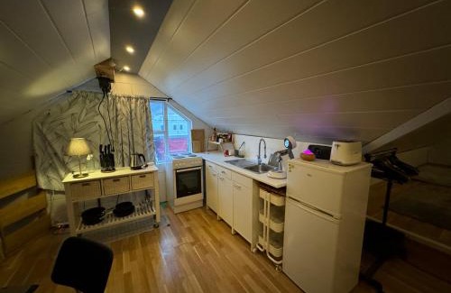 Vestmannaeyjar Apartment | Bjarmaland