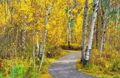 Black Butte Ranch House | Black Butte Ranch: Aspen Grove Retreat