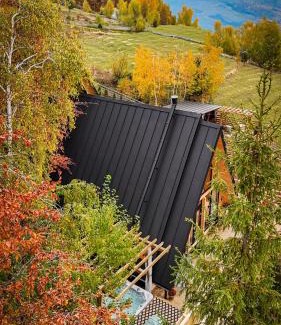 Horea Ski Chalet | Black Roof