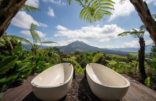 Kintamani Hotel | Black Wood Cabin
