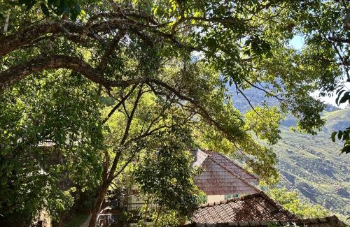 Kannan Devan Hills Resort | Blackberry Hills Munnar Nature Resort & Spa