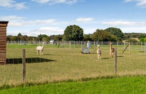 Ipswich House | Blackwell Barn