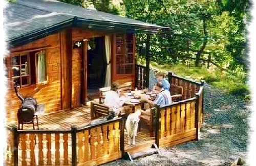 Elterwater Cabin | Blelham Tarn (Rustic yet modern cabin in tranquil woodland with own EV charger)