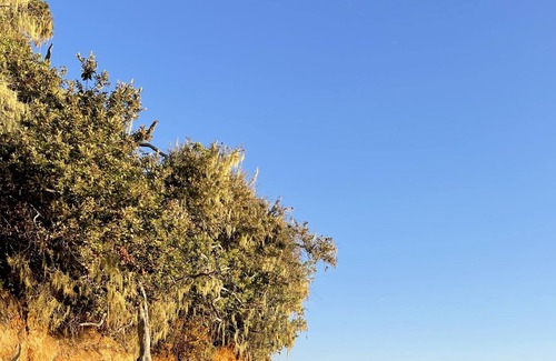 Inverness House | Blue Beauty Inverness, CA - Walk to Shell Beach