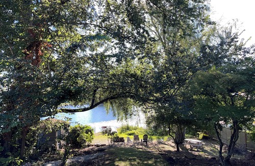 Picnic Point-North Lynnwood Apartment | Blue Door at Lake Serene