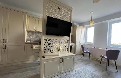 Suceava Apartment | Blue Joy Bukovina Aparthotel