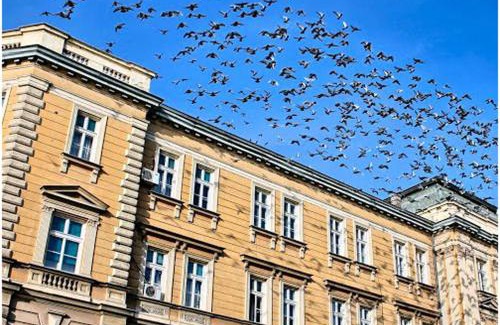 Medijana Apartment | Blue New Yorker