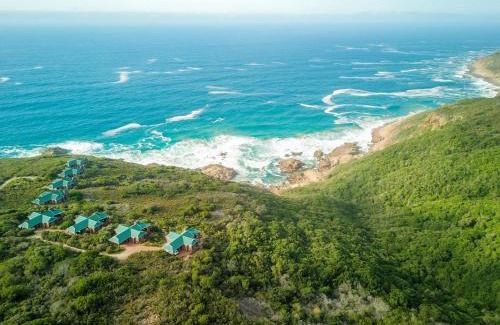 George Resort | Blue Whale Resort