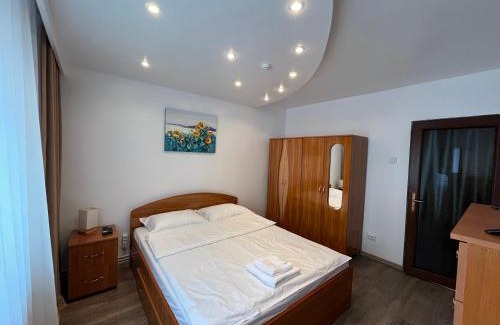 Orastie Apartment | BlueBee Apartment