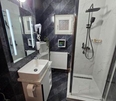 Orastie Apartment | BlueBee Apartment