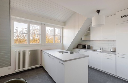 Basel City Centre Apartment | Blueground | Basel-Vorstaedte, river view, nr Rhine