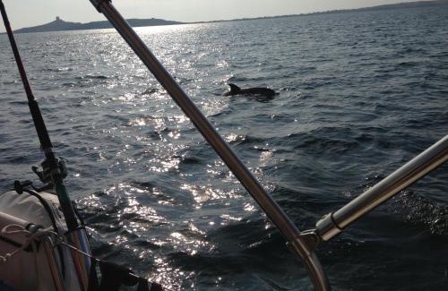 Sardinia Boat Rental | Boat & Sailing Torregrande Sinis Yachting