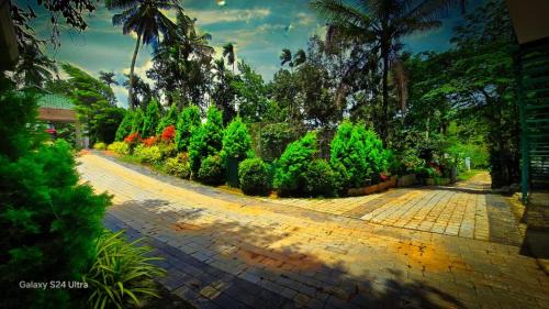 Sulthan Bathery Hotel | BOB Green Aura