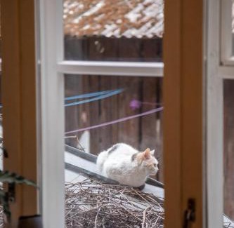 Old Town Apartment | Bohemian Hideout, Old Town, Tartu Home