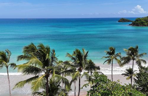 La Ceiba House | Bonita Beach Villa