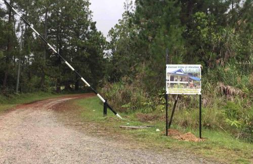 Kundasang Villa | Bonsai Villa @ Mesilou 盆栽小苑