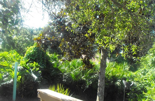 Vilano Beach House | BOOK NOW! Oct./Nov. Deals: St. Augustine tropical home nr Beach, Non-smoking