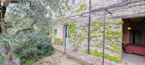 Montone Bed & Breakfast | Borgo Cardaneto