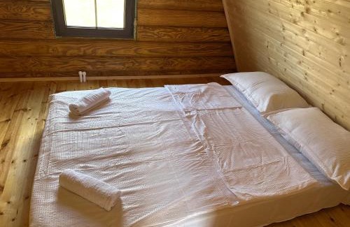 Likani Ski Chalet | Borjomi-sadgeri comfort