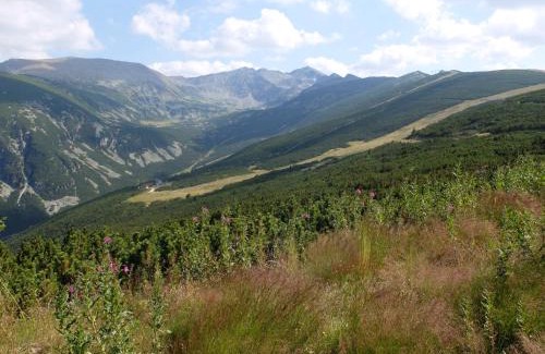 Borovets Apartment | Borovets Apartments, Flora Violet Residence