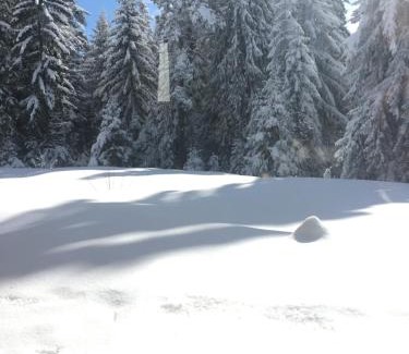 Maritsa Villa | Borovets Chalets