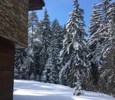 Maritsa Villa | Borovets Chalets
