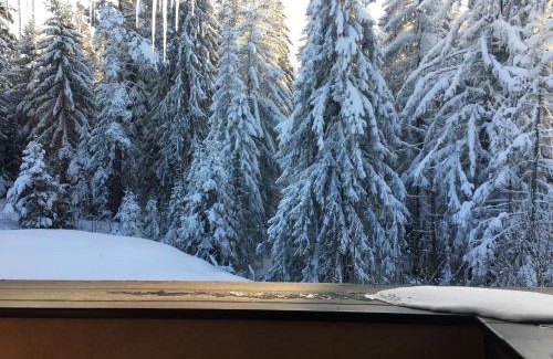 Maritsa Villa | Borovets Chalets