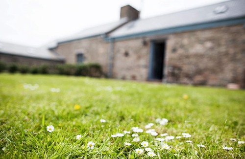 Llanfaethlu Cottage | Borthwen Bach - a dog that sleeps 2 guests in 1 bedroom