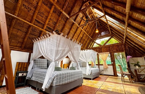 Provenza Hotel | Boscaje SolarPunk Habitat