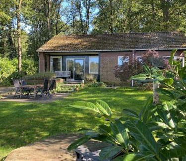 Doldersum House | Boshuisje Doldersum: omheinde tuin en uniek uitzicht