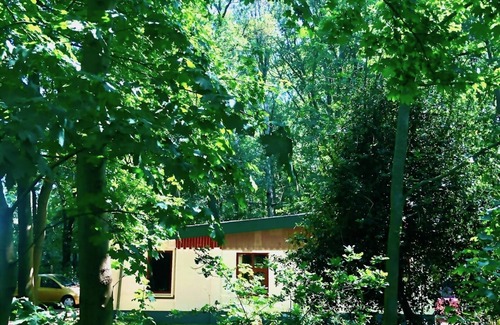 Beesel Cottage | Boshuisje In the middle of nowhere