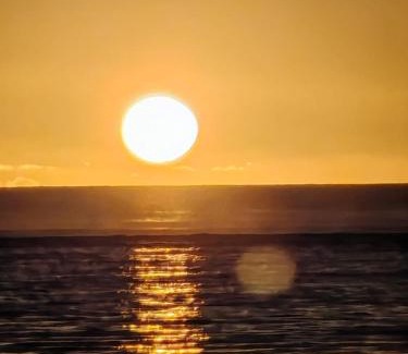 Wolmar Apartment | BoTree Abode