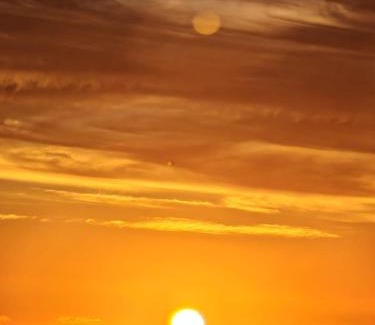 Wolmar Apartment | BoTree Abode