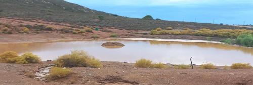 Barrydale Other | Botterboom - Private Karoo Campsite