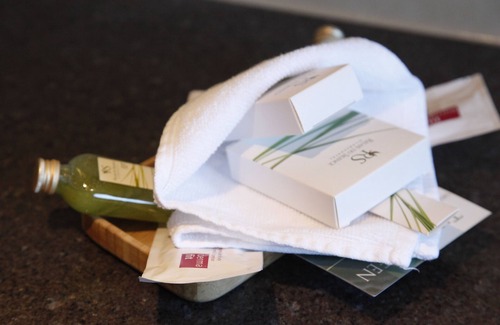 Minusio Hotel | Boutique-Hotel REMORINO