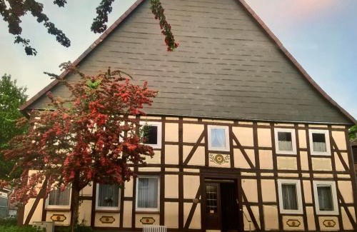 Erkeln Apartment | Brakel Ferienwohnung