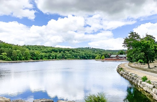 Reeds Spring Cabin | Branson Cabin with Two Primary Suites!