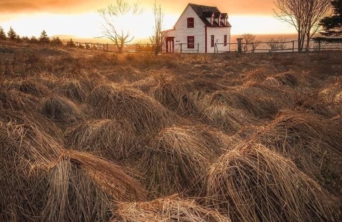 Tors Cove Cottage | Breathtaking 3 Acres of Oceanfront - Overlooking the Atlantic Ocean