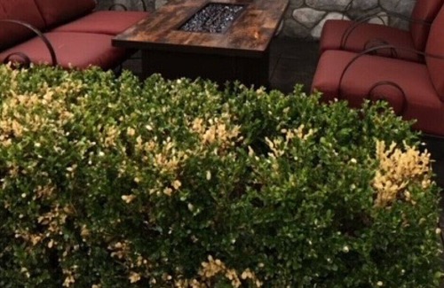 Gladwin House | Breathtaking Beachfront, Newly Remodeled, w/ Sunset Views