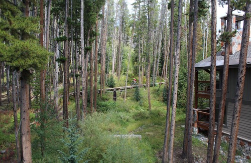Breckenridge Condo | Breckenridge Peak 8 True Ski-In Ski-Out At Over 10,000 Ft.