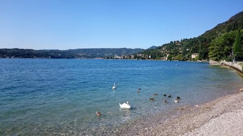 Barbarano Apartment | Brezza di Lago