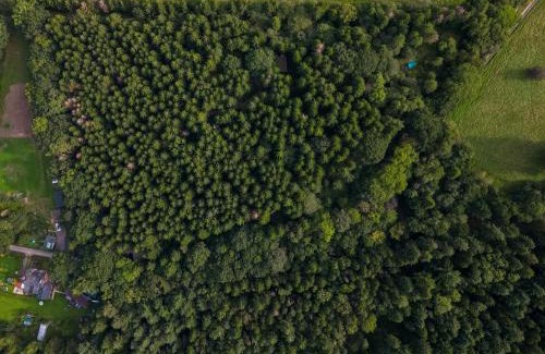 Middlemarsh Other | Bridgewood Camping - CABIN