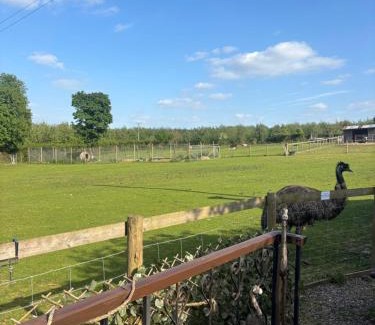 Kington Villa | Bridie -rose with wood tub country retreat