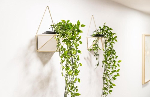 Logan Square Apartment | Bright and Cozy 1BR Apartment in Logan Square!