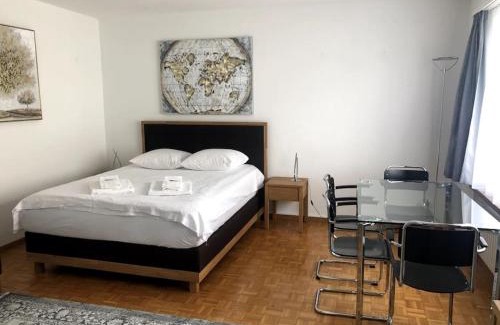 Hirslanden Apartment | Bright and quiet studio in the city center - Sky1