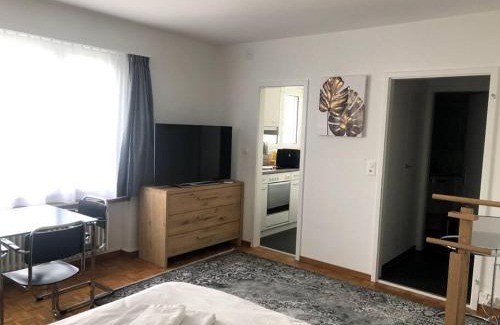 Hirslanden Apartment | Bright and quiet studio in the city center - Sky1