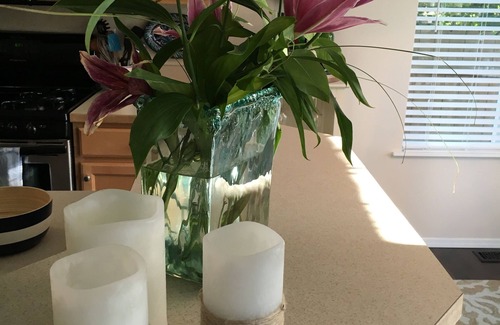 Lacey House | Bright cozy 3 Bedroom with Acess to Private Beach pet friendly!