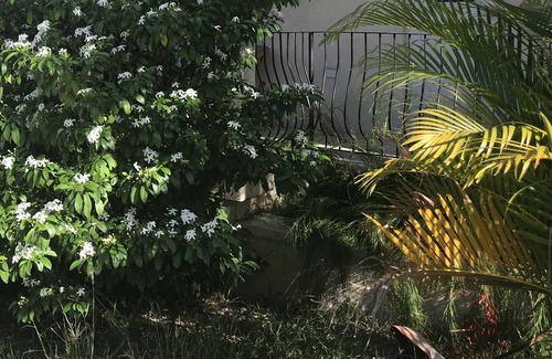 Prospect House | Bright One bed Apartment - 5 minutes from beach!