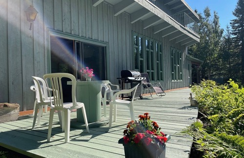 Hillside East House | Bright, private, rustic, large, vaulted ceiling home -acre+ wooded spacious lot